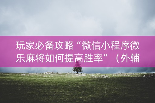 玩家必备攻略“微信小程序微乐麻将如何提高胜率”（外辅工具)