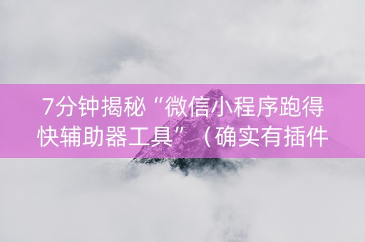 7分钟揭秘“微信小程序跑得快辅助器工具”（确实有插件吗)
