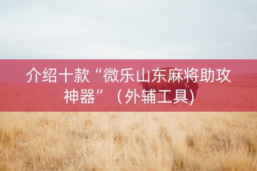 介绍十款“微乐山东麻将助攻神器”（外辅工具)