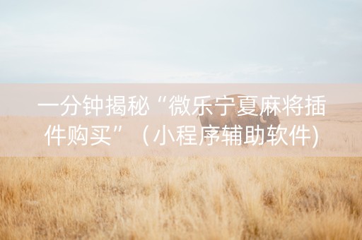一分钟揭秘“微乐宁夏麻将插件购买”（小程序辅助软件)