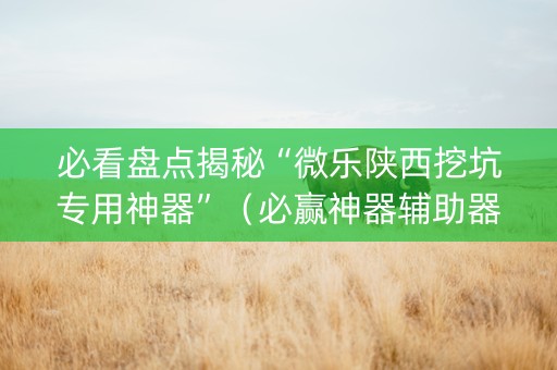 必看盘点揭秘“微乐陕西挖坑专用神器”（必赢神器辅助器)