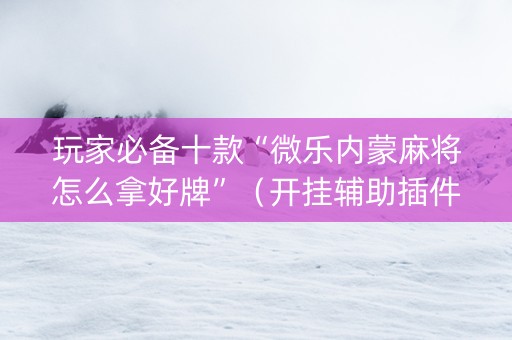 玩家必备十款“微乐内蒙麻将怎么拿好牌”（开挂辅助插件)