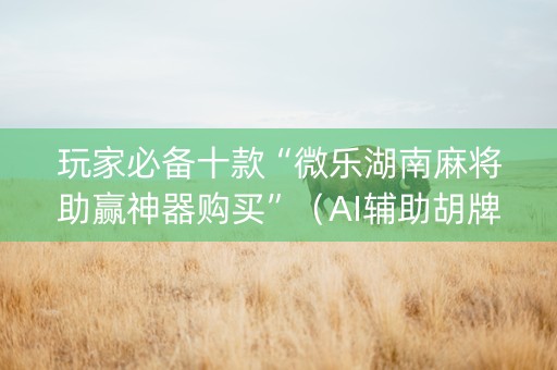 玩家必备十款“微乐湖南麻将助赢神器购买”（AI辅助胡牌规则)