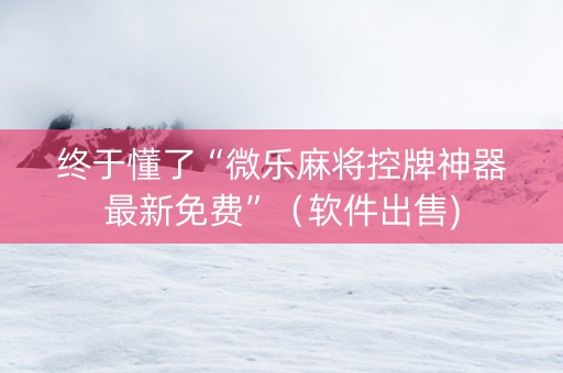 终于懂了“微乐麻将控牌神器最新免费”（软件出售)