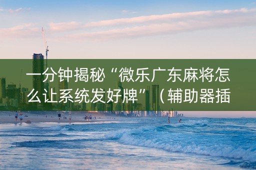 一分钟揭秘“微乐广东麻将怎么让系统发好牌”（辅助器插件)