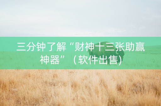 三分钟了解“财神十三张助赢神器”（软件出售)