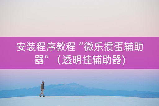 安装程序教程“微乐掼蛋辅助器”（透明挂辅助器)