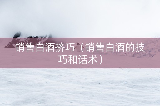 销售白酒挤巧（销售白酒的技巧和话术）