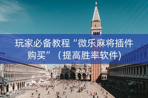 玩家必备教程“微乐麻将插件购买”（提高胜率软件)