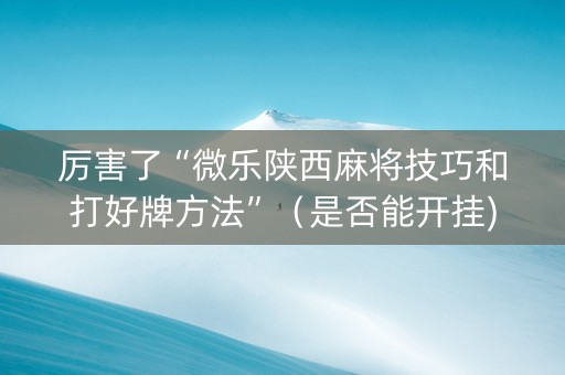 厉害了“微乐陕西麻将技巧和打好牌方法”（是否能开挂)
