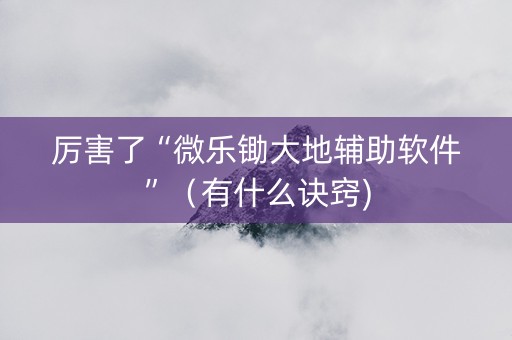 厉害了“微乐锄大地辅助软件”（有什么诀窍)