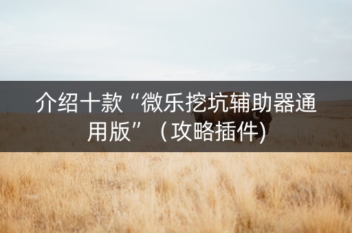 介绍十款“微乐挖坑辅助器通用版”（攻略插件)