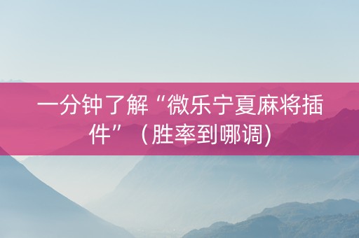一分钟了解“微乐宁夏麻将插件”（胜率到哪调)