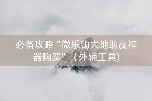 必备攻略“微乐锄大地助赢神器购买”（外辅工具)