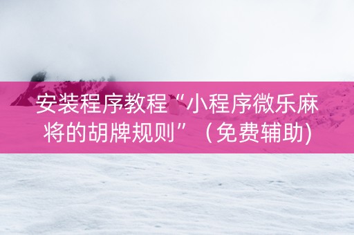 安装程序教程“小程序微乐麻将的胡牌规则”（免费辅助)