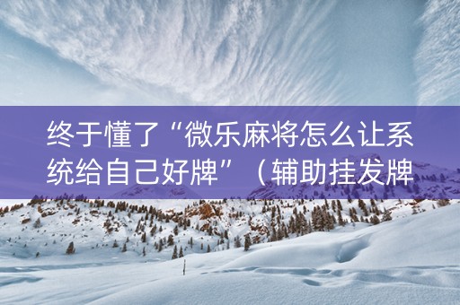 终于懂了“微乐麻将怎么让系统给自己好牌”（辅助挂发牌规律)