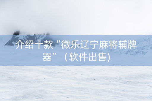 介绍十款“微乐辽宁麻将辅牌器”（软件出售)