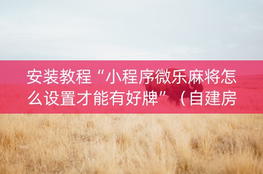 安装教程“小程序微乐麻将怎么设置才能有好牌”（自建房怎么拿好牌)