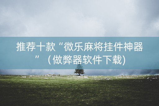 推荐十款“微乐麻将挂件神器”（做弊器软件下载)