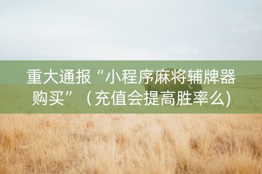 重大通报“小程序麻将辅牌器购买”（充值会提高胜率么)