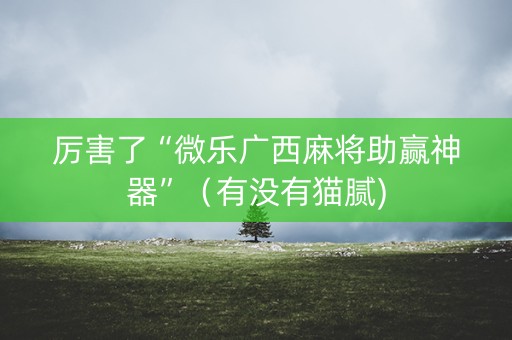 厉害了“微乐广西麻将助赢神器”（有没有猫腻)