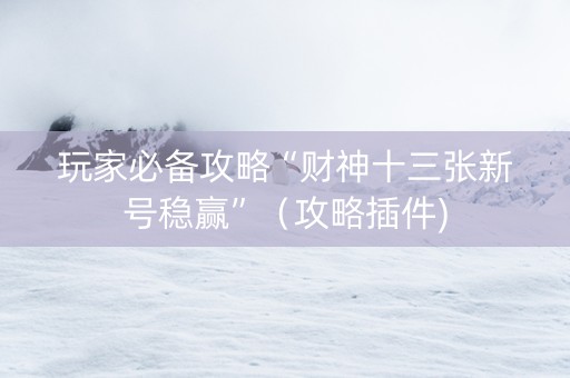 玩家必备攻略“财神十三张新号稳赢”（攻略插件)