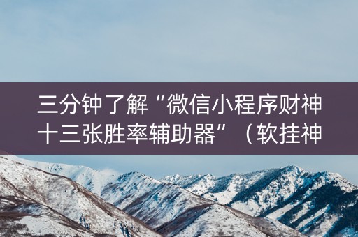 三分钟了解“微信小程序财神十三张胜率辅助器”（软挂神器)