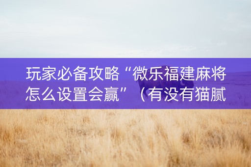 玩家必备攻略“微乐福建麻将怎么设置会赢”（有没有猫腻)
