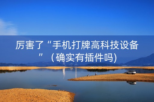 厉害了“手机打牌高科技设备”（确实有插件吗)