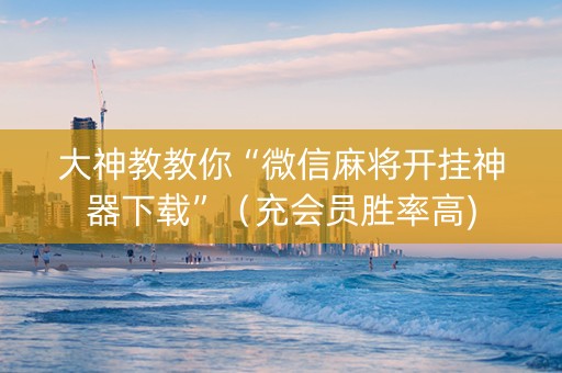 大神教教你“微信麻将开挂神器下载”（充会员胜率高)
