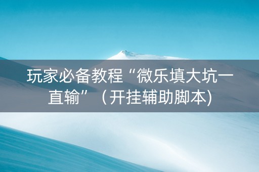 玩家必备教程“微乐填大坑一直输”（开挂辅助脚本)