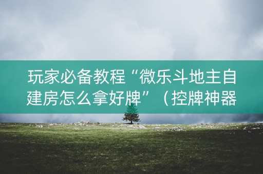 玩家必备教程“微乐斗地主自建房怎么拿好牌”（控牌神器)