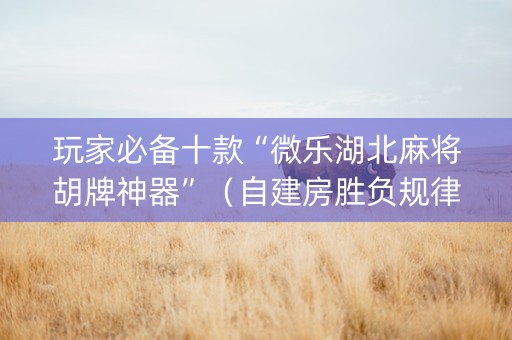 玩家必备十款“微乐湖北麻将胡牌神器”（自建房胜负规律)