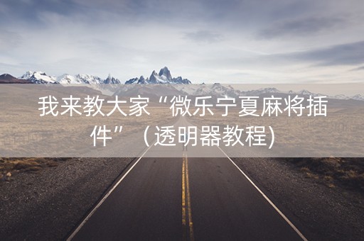 我来教大家“微乐宁夏麻将插件”（透明器教程)