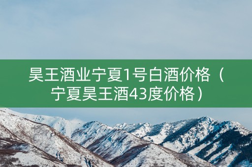 昊王酒业宁夏1号白酒价格（宁夏昊王酒43度价格）
