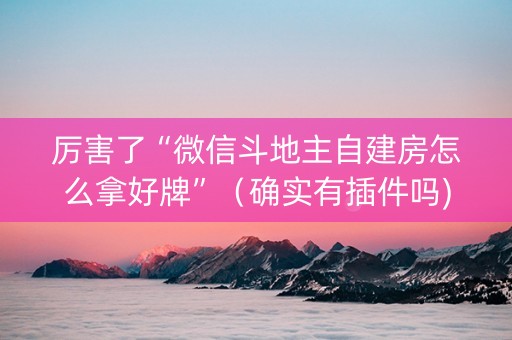 厉害了“微信斗地主自建房怎么拿好牌”（确实有插件吗)
