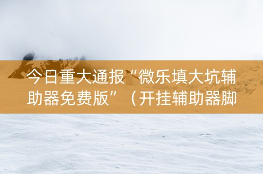 今日重大通报“微乐填大坑辅助器免费版”（开挂辅助器脚本)