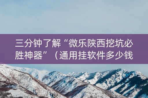 三分钟了解“微乐陕西挖坑必胜神器”（通用挂软件多少钱)