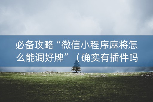 必备攻略“微信小程序麻将怎么能调好牌”（确实有插件吗)