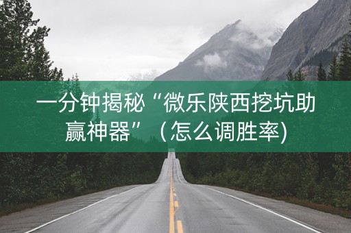 一分钟揭秘“微乐陕西挖坑助赢神器”（怎么调胜率)