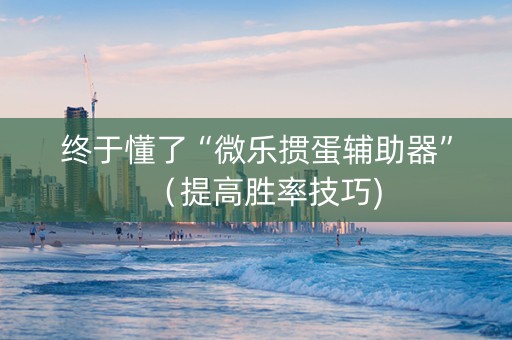 终于懂了“微乐掼蛋辅助器”（提高胜率技巧)