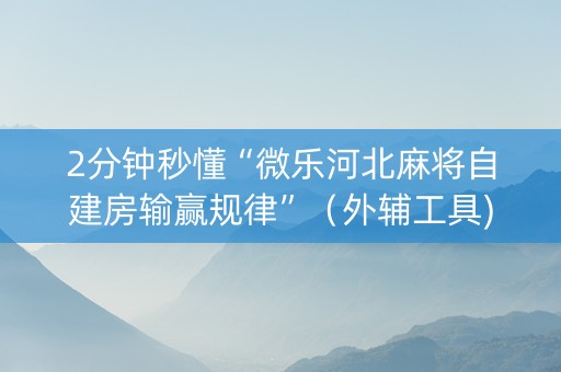 2分钟秒懂“微乐河北麻将自建房输赢规律”（外辅工具)