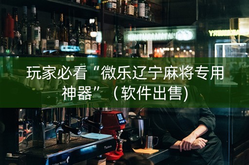 玩家必看“微乐辽宁麻将专用神器”（软件出售)