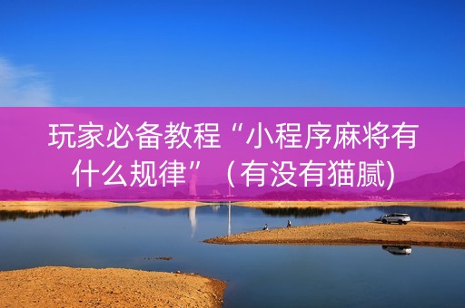 玩家必备教程“小程序麻将有什么规律”（有没有猫腻)