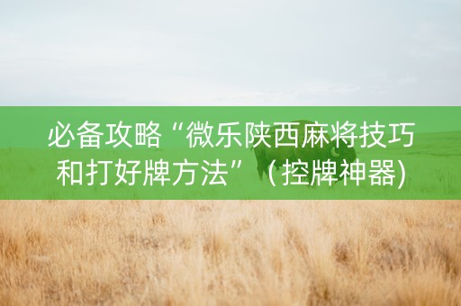 必备攻略“微乐陕西麻将技巧和打好牌方法”（控牌神器)