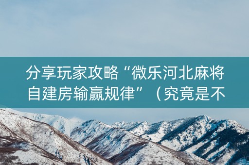 分享玩家攻略“微乐河北麻将自建房输赢规律”（究竟是不是有挂)