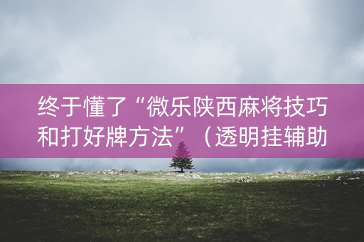 终于懂了“微乐陕西麻将技巧和打好牌方法”（透明挂辅助器)