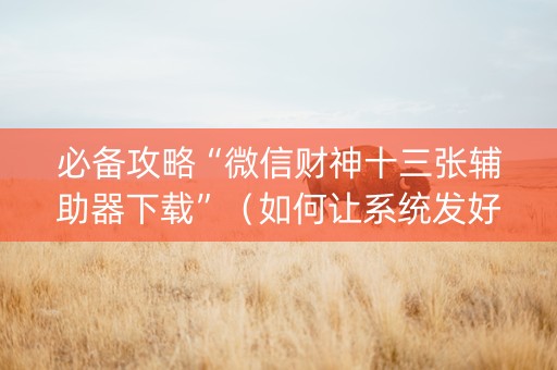 必备攻略“微信财神十三张辅助器下载”（如何让系统发好牌)