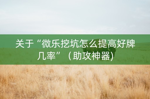 关于“微乐挖坑怎么提高好牌几率”（助攻神器)