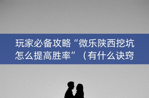 玩家必备攻略“微乐陕西挖坑怎么提高胜率”（有什么诀窍)